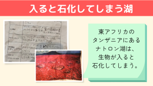 10分間おうち療育